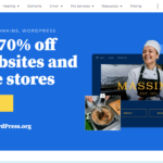 BlueHost Hosting