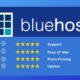 bluehost review