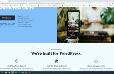 bluehost review