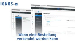 ionos review
