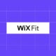 wix review